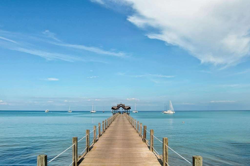 Borneo Eagle Resort Kota Kinabalu Alam foto